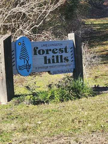 $20,000 | Lot 426 Echo Hills Lane, Livingston, TX 77351