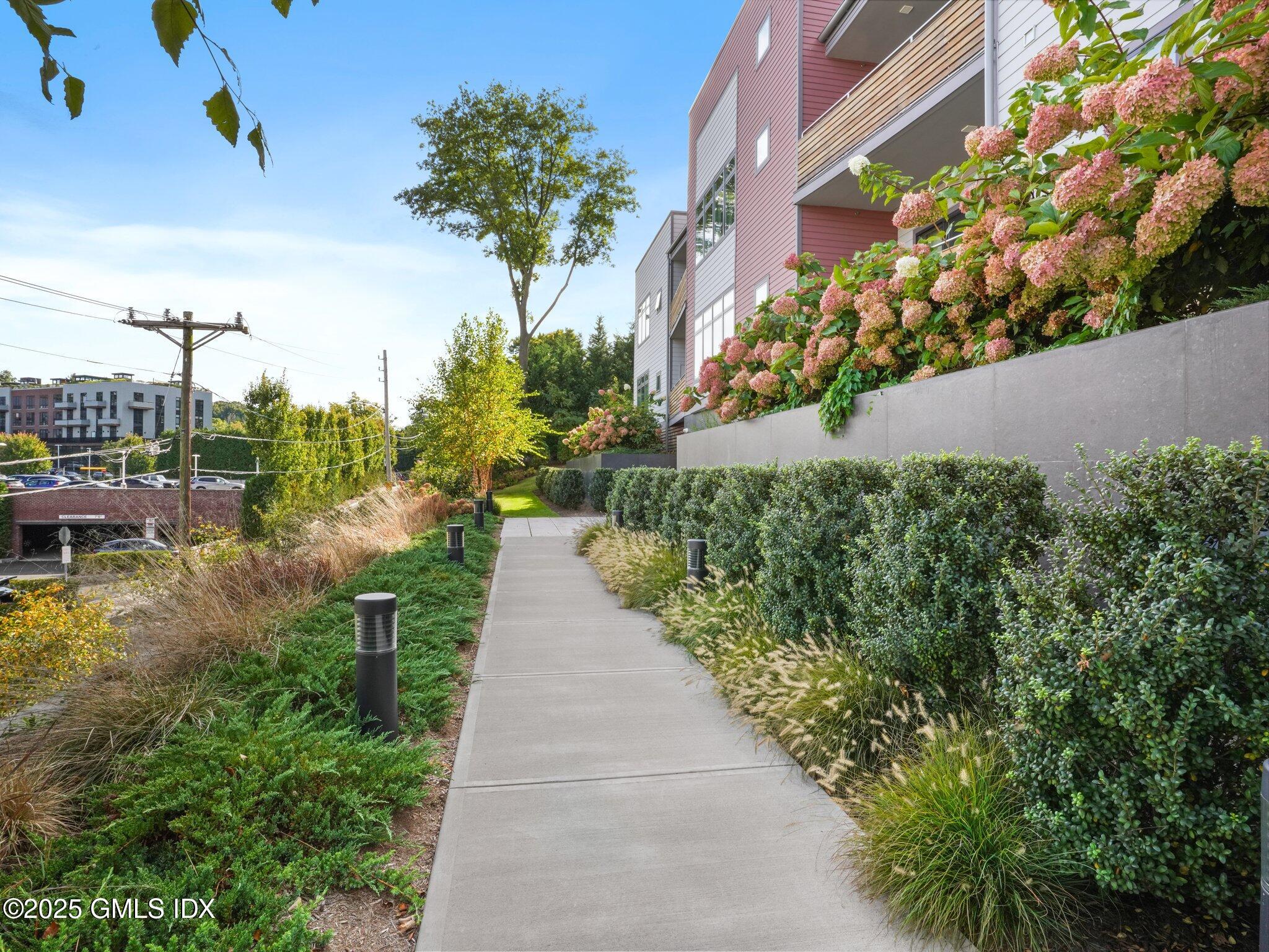 a view of a garden with flowers