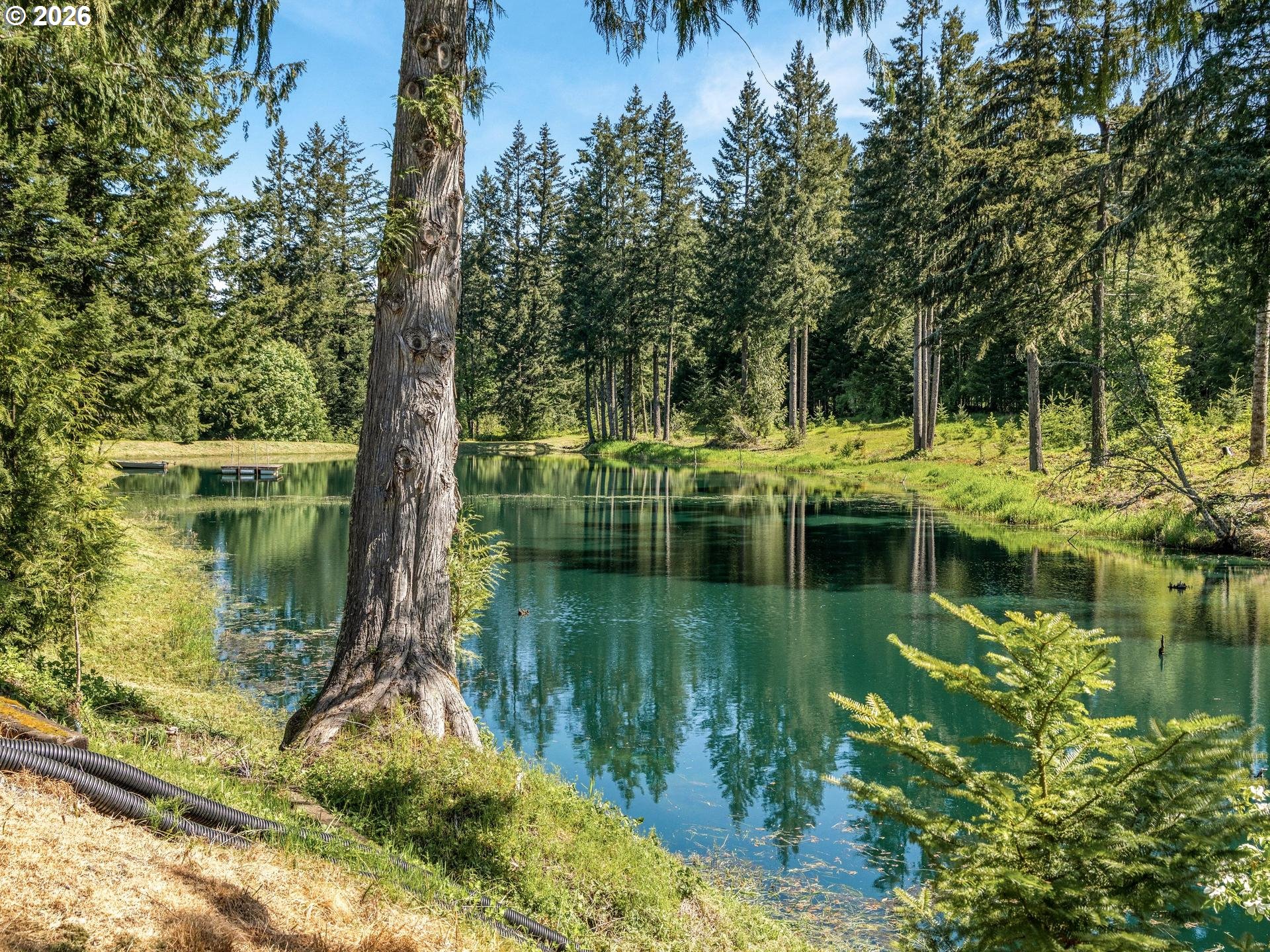 38342 South Sawtell Road Molalla, OR 97038 - Photo 40 of 48