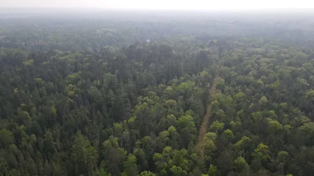 $64,900 | Parcel A Cherry Creek Road, Grayling, MI 49738