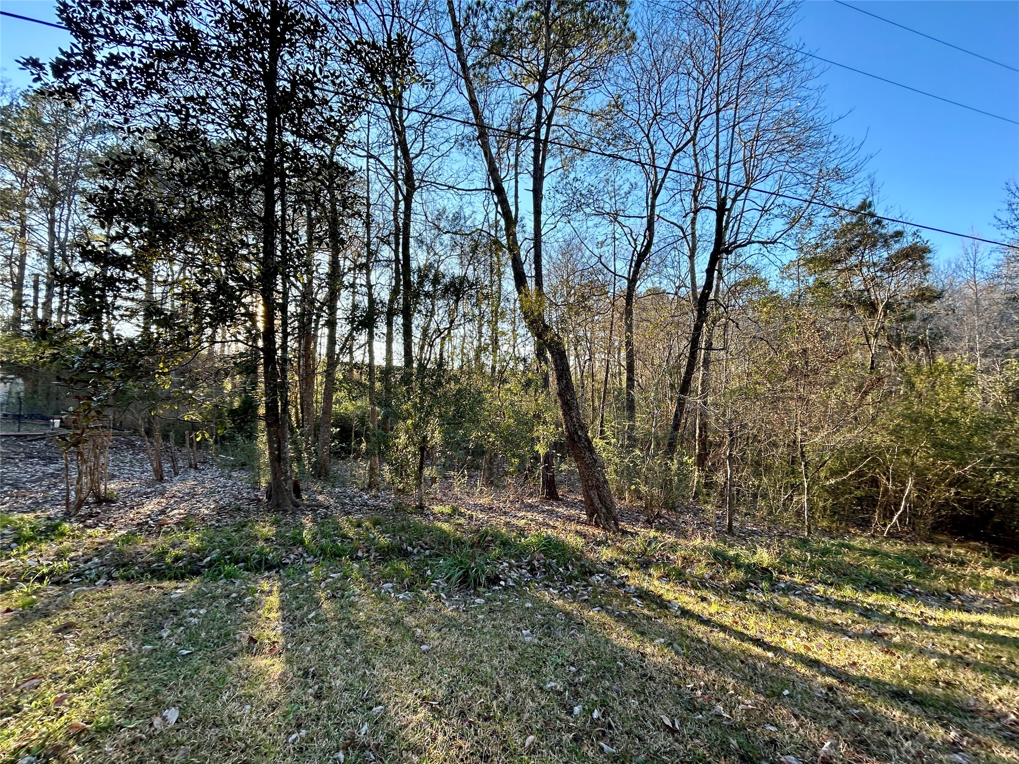 Tbd Royal Springs Road Conroe, TX 77303 - Photo 2 of 19