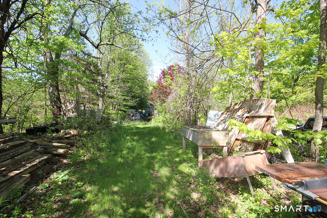 170 Ross Road Middlefield, CT 06481 - Photo 4 of 9 a view of a yard with plants and large trees