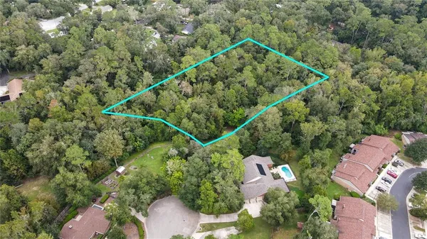 a view of a forest with trees in the background