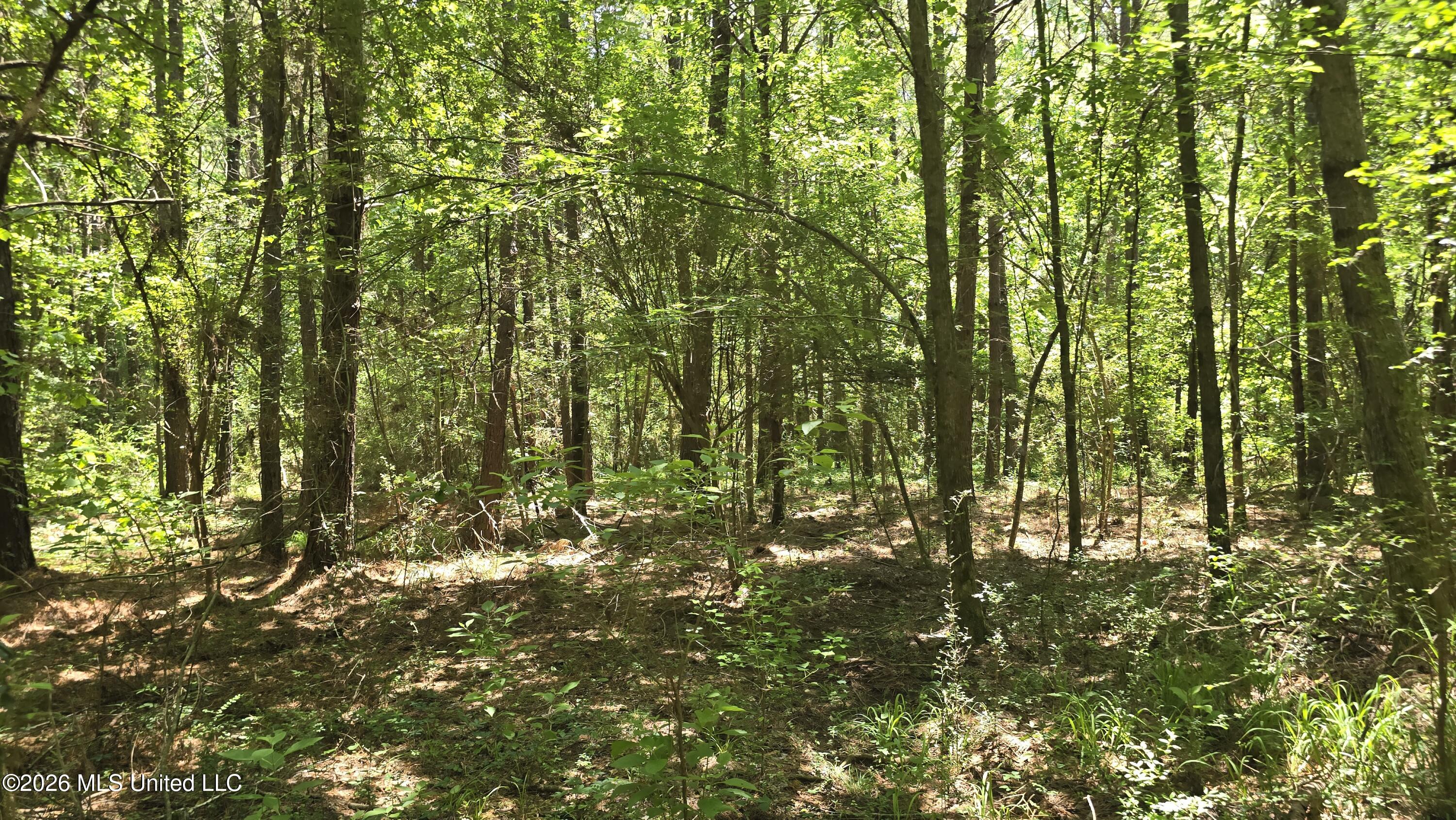 189 Co Road Bay Springs, MS 39422 - Photo 44 of 61 20260513_121019