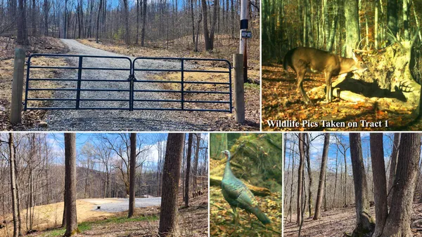 $100,000 | 0 Pike Lake Road, Unit TRACT 2 PIKE LAKE GETAWAY), Bainbridge, OH 45612