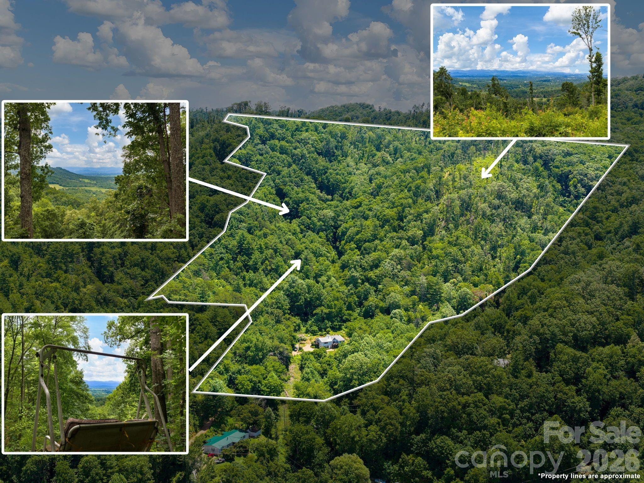 46 Perennial Ridge Weaverville, NC 28787 - Photo 2 of 44