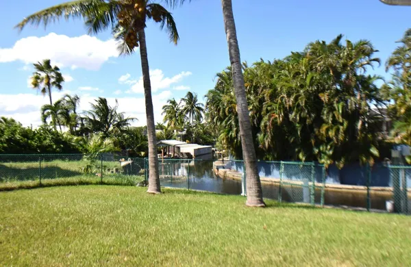 a view of a garden with a slide