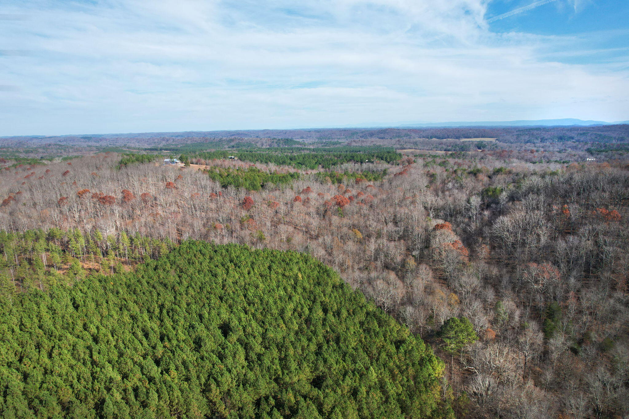 338 County Road 41 Calhoun, TN 37309 - Photo 11 of 12 30-web-or-mls-DJI_0995