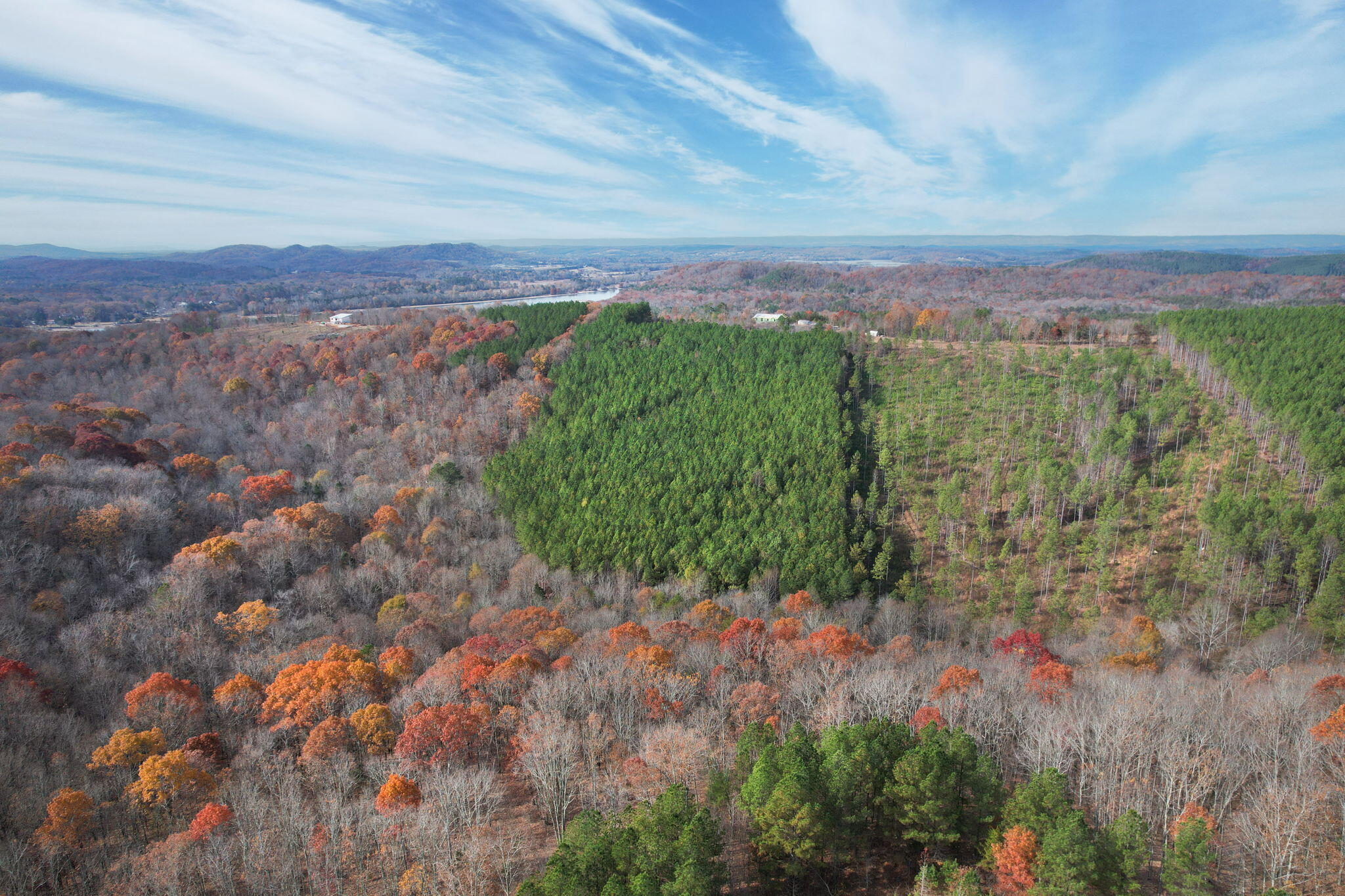 338 County Road 41 Calhoun, TN 37309 - Photo 4 of 12 11-web-or-mls-DJI_0860