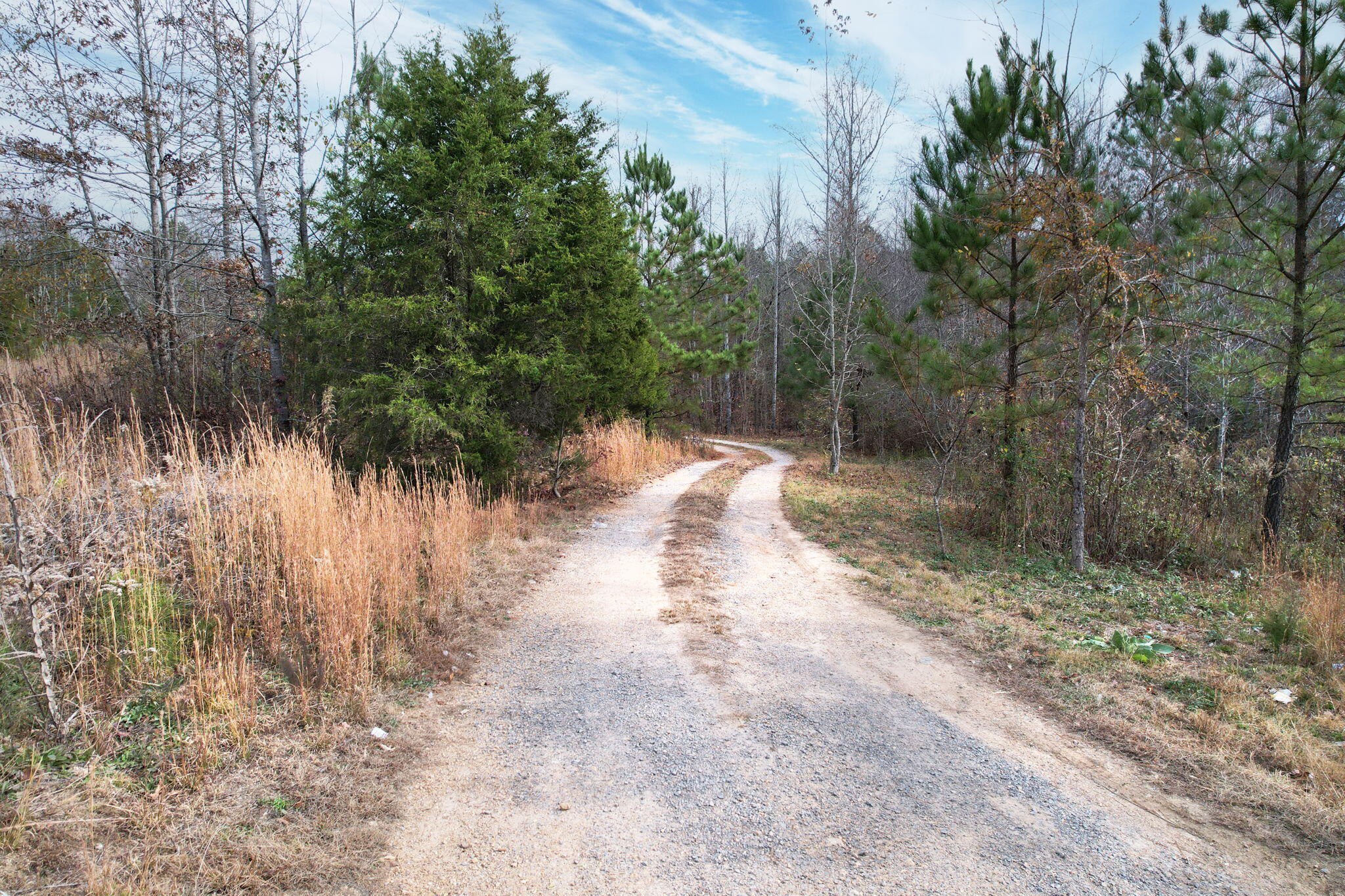 338 County Road 41 Calhoun, TN 37309 - Photo 6 of 12 12-web-or-mls-DJI_0837