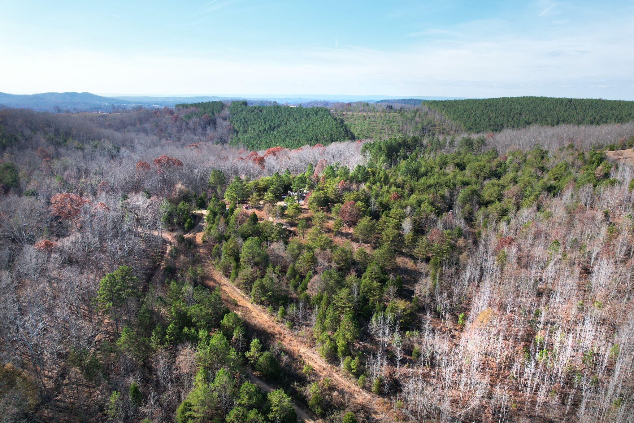 338 County Road 41 Calhoun, TN 37309 - Photo 7 of 12 20-web-or-mls-DJI_0986