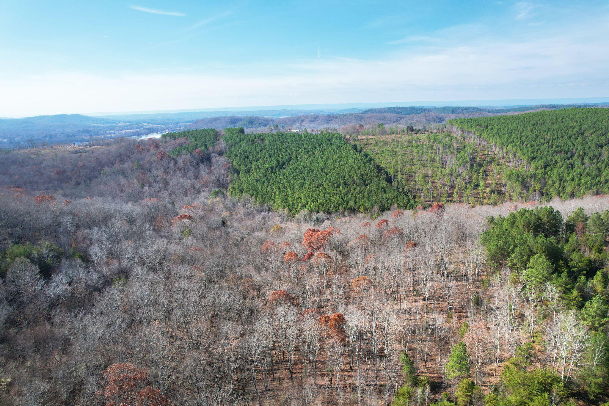 338 County Road 41 Calhoun, TN 37309 - Photo 8 of 12 22-web-or-mls-DJI_0989