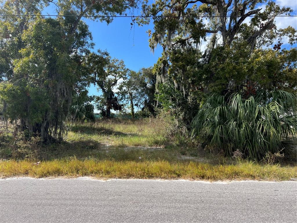 Omaha Street Hudson, FL 34667 - Photo 2 of 4