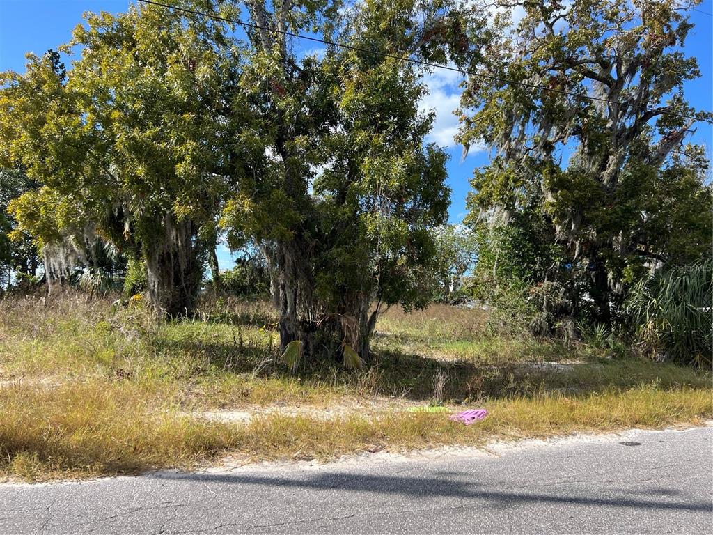 Omaha Street Hudson, FL 34667 - Photo 3 of 4 a view of swimming pool with a yard