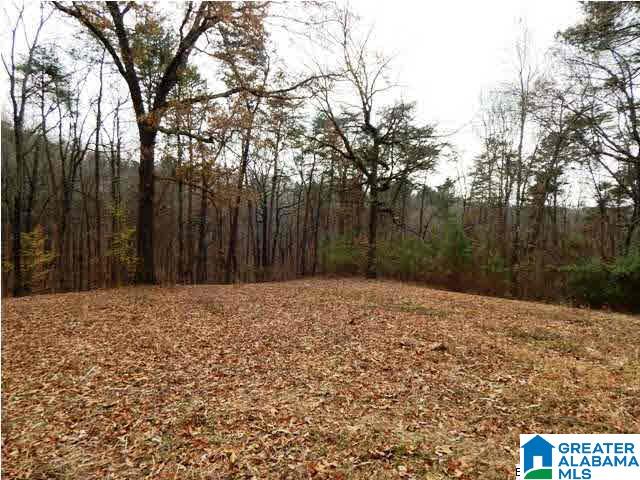 401 Beasley Road Gardendale, AL 35071 - Photo 6 of 15