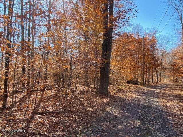 Timbertop Acres Newfoundland, PA 18445 - Photo 21 of 23