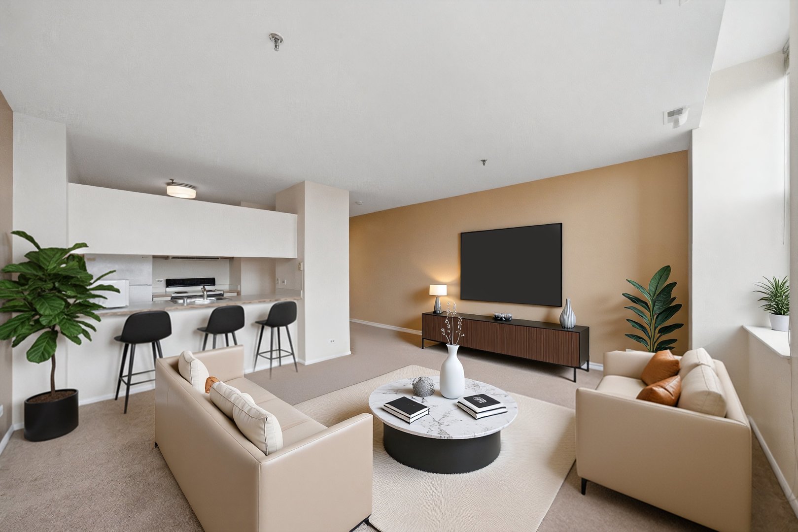 780 South Federal Street, Unit 1209 Chicago, IL 60605 - Photo 8 of 20