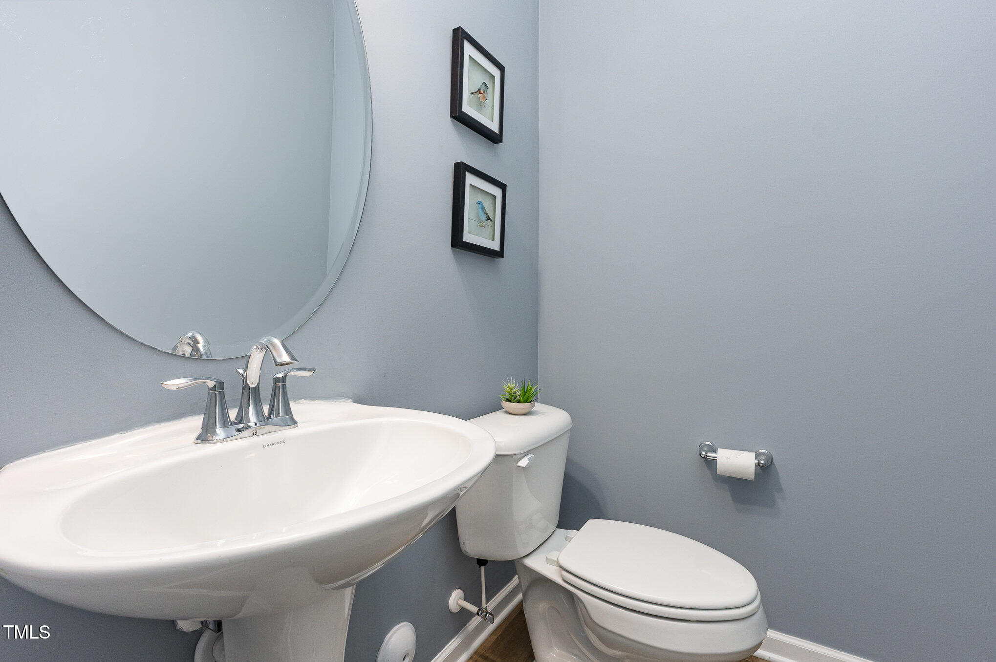 1101 Hazelmist Drive Wake Forest, NC 27587 - Photo 11 of 28 a bathroom with a toilet a sink and mirror