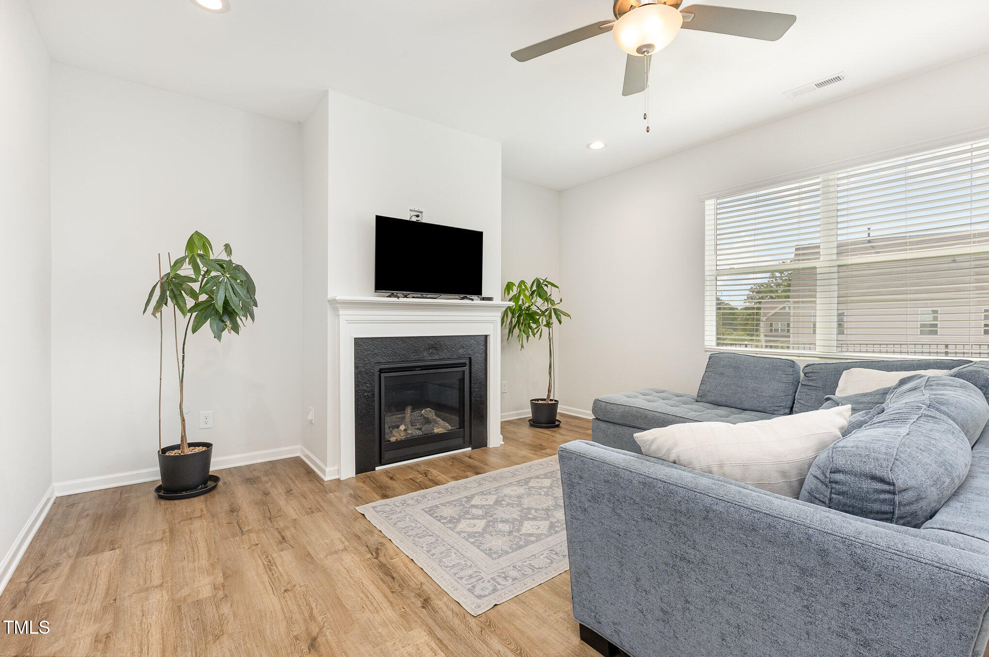 1101 Hazelmist Drive Wake Forest, NC 27587 - Photo 4 of 28 a living room with furniture and a fireplace