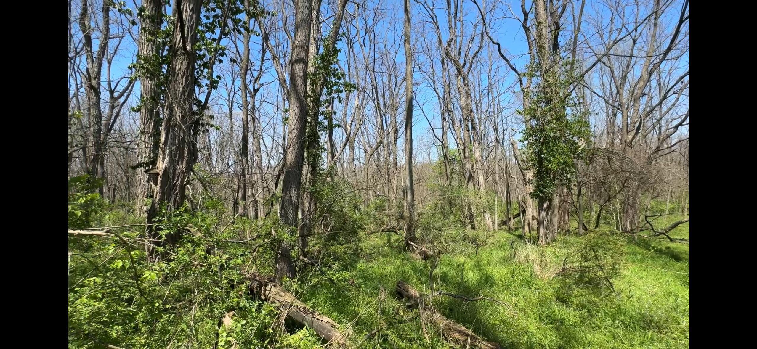 8154 Crowl Road De Graff, OH 43318 - Photo 11 of 34 IMG_4467