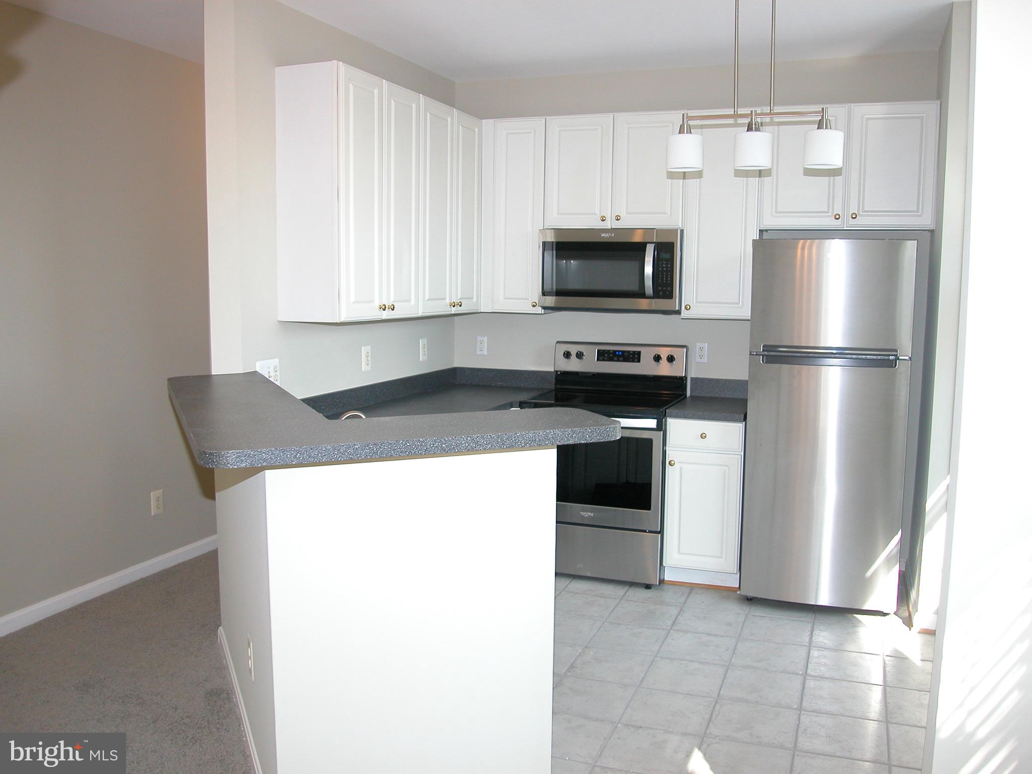 12700 Found Stone Road, Unit 301 Germantown, MD 20876 - Photo 3 of 24 Gallery Image 3