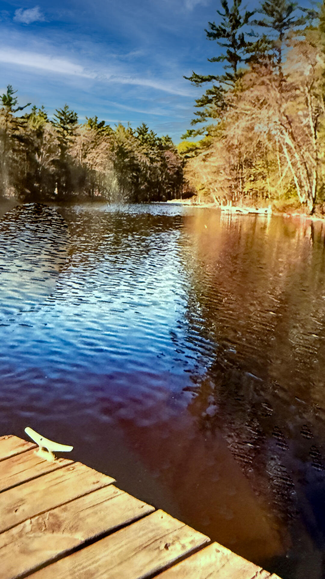 22 Fire Ln 14 Raymond, ME 04071 - Photo 3 of 46 Old pix from Seller. Needs new dock now.