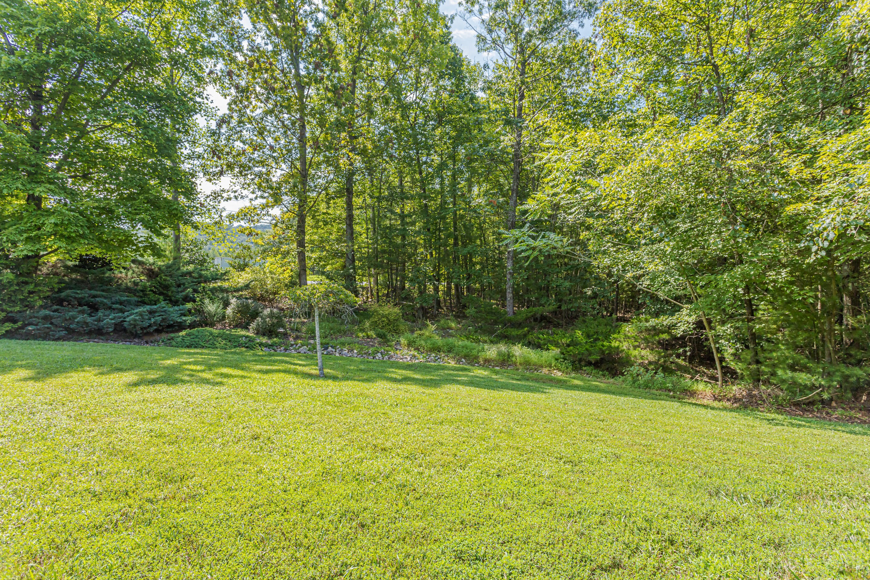 2435 Hopkins Road Rocky Mount, VA 24151 - Photo 53 of 61 75_2435_Hopkins_Rd75_mls