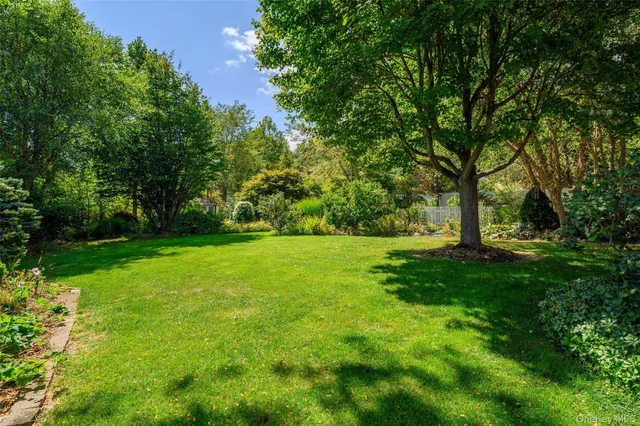 a view of a park with large trees