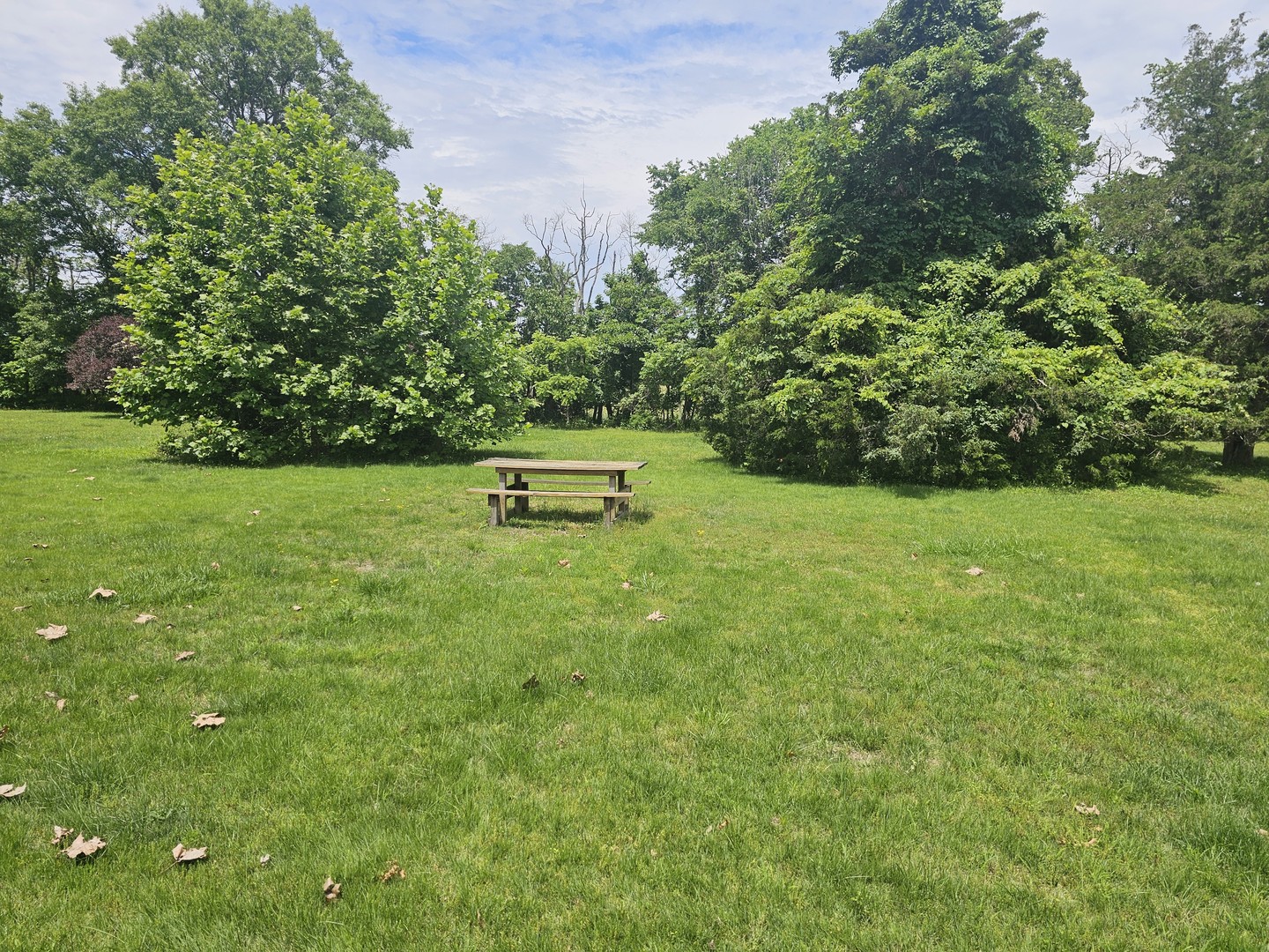 14230 East Windsong Road Mount Vernon, IL 62864 - Photo 17 of 33