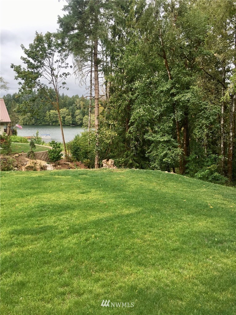 287 Hadaller Road Mossyrock, WA 98564 - Photo 2 of 17