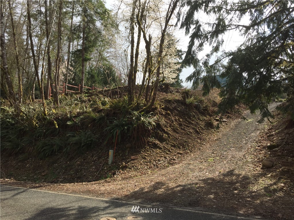 287 Hadaller Road Mossyrock, WA 98564 - Photo 12 of 17