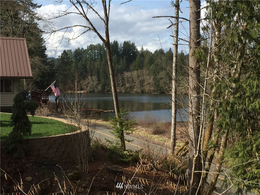 287 Hadaller Road Mossyrock, WA 98564 - Photo 4 of 17