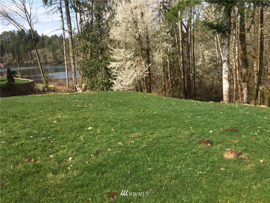 287 Hadaller Road Mossyrock, WA 98564 - Photo 8 of 17