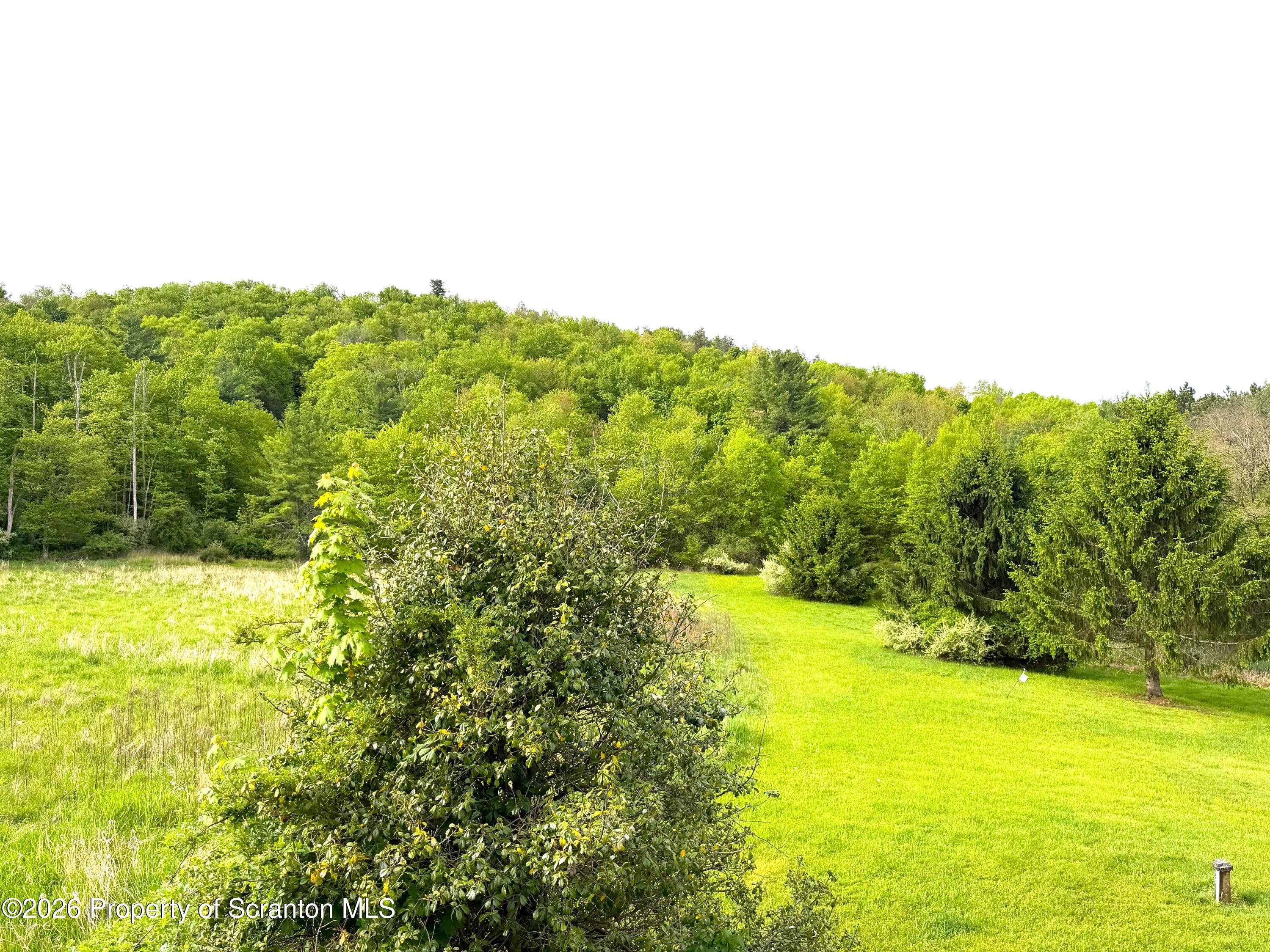 5290 Irish Hill Road Montrose, PA 18801 - Photo 66 of 67 a view of a yard with an outdoor space