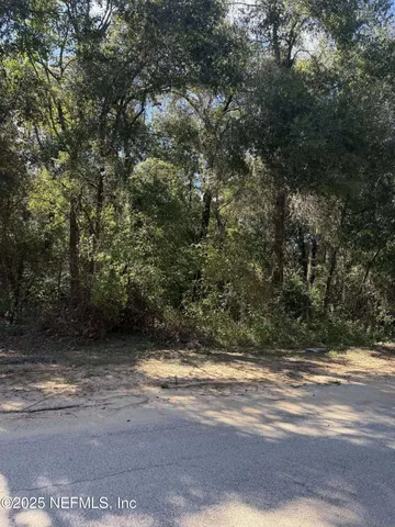 a view of a yard with large trees