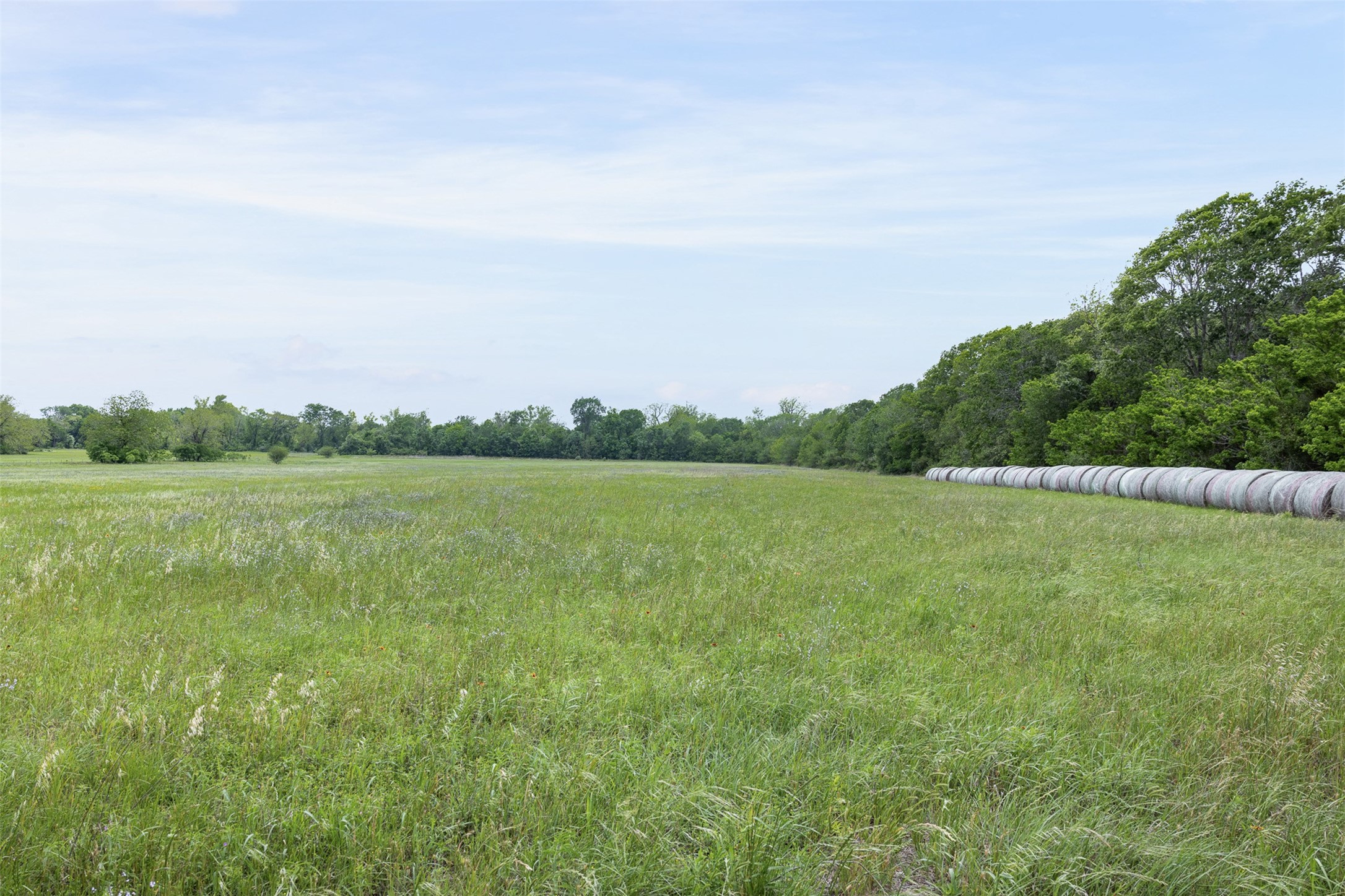 Tbd Bauer Rummel Road Round Top, TX 78954 - Photo 7 of 30
