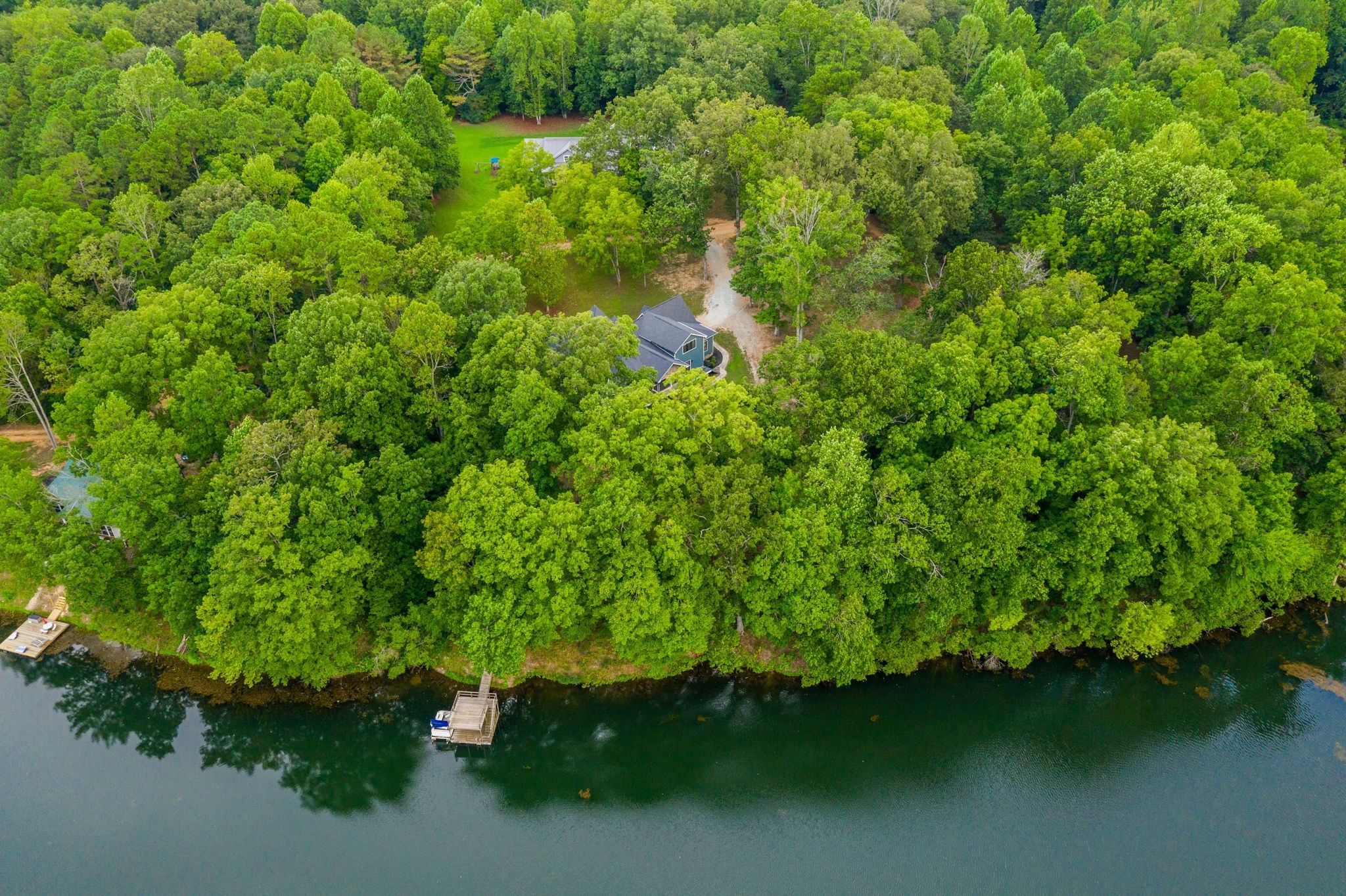 74 Pine Lake Road Summertown, TN 38483 - Photo 84 of 90 a backyard of a house with lots of green space