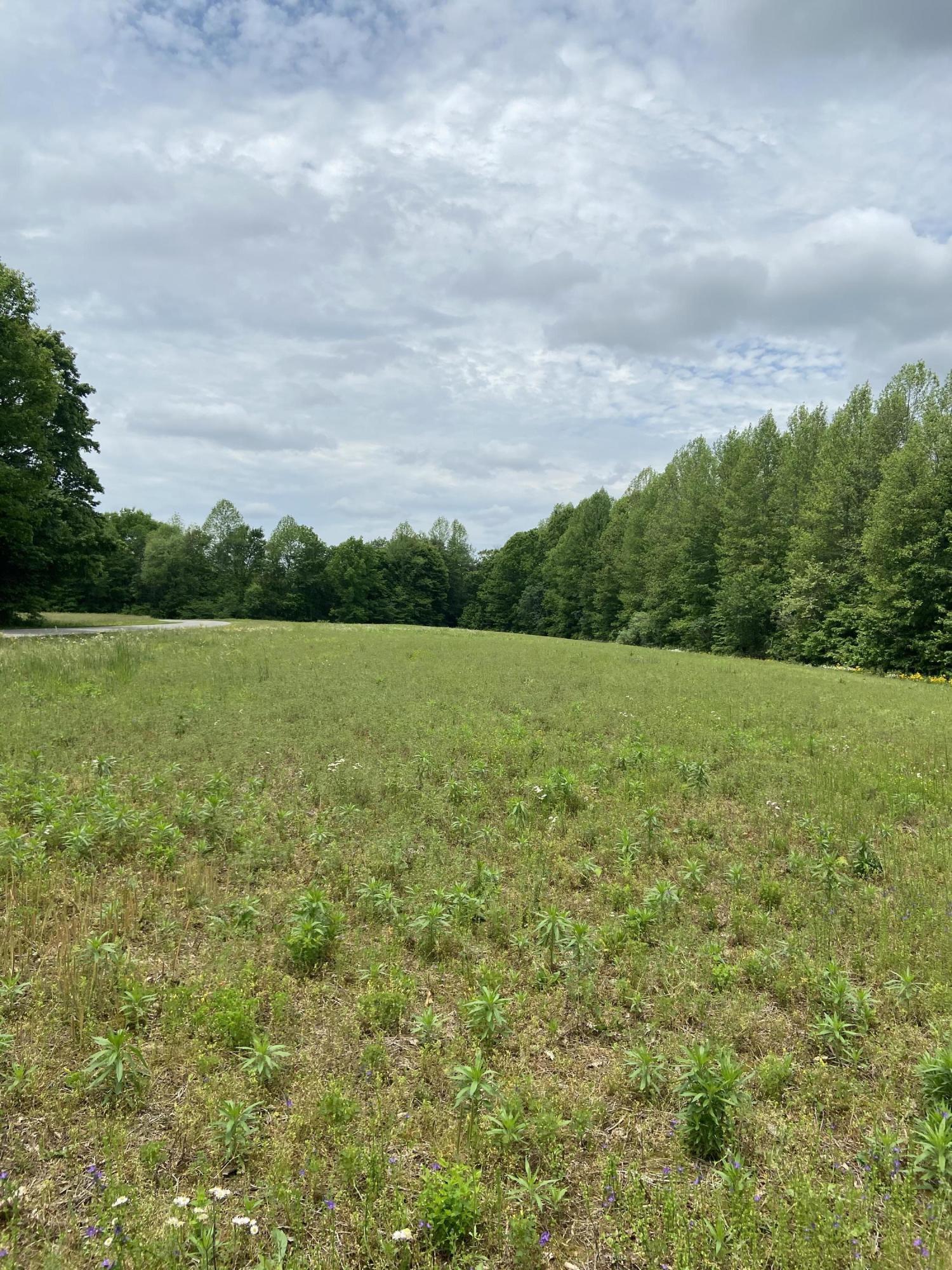 123 South Fork Ridge Road Liberty, KY 42539 - Photo 6 of 28 19969F98-7584-437D-9763-710DCD06EBAB<|>P