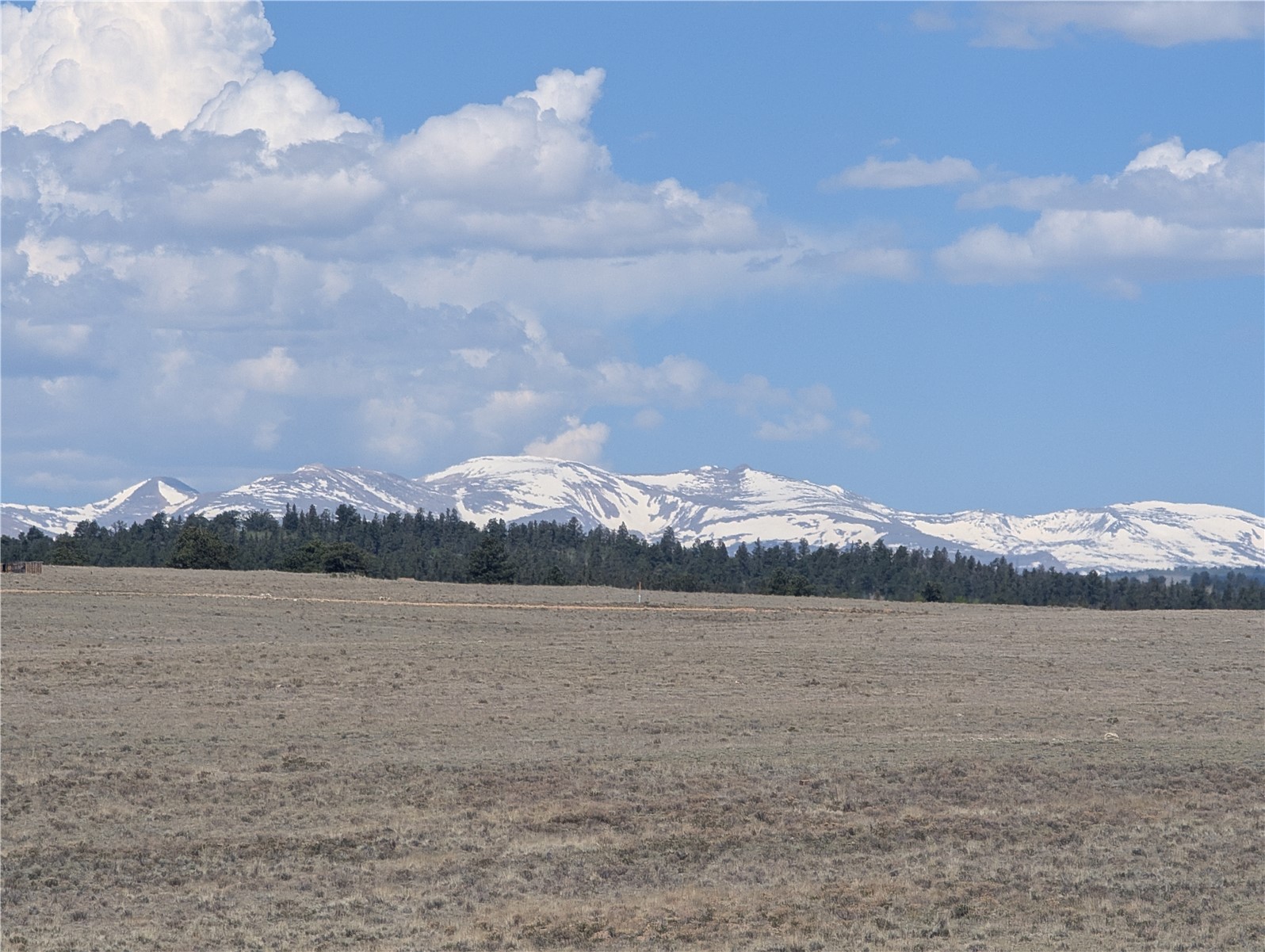 412 Andesite Way Como, CO 80432 - Photo 10 of 22 a view of lake and mountain