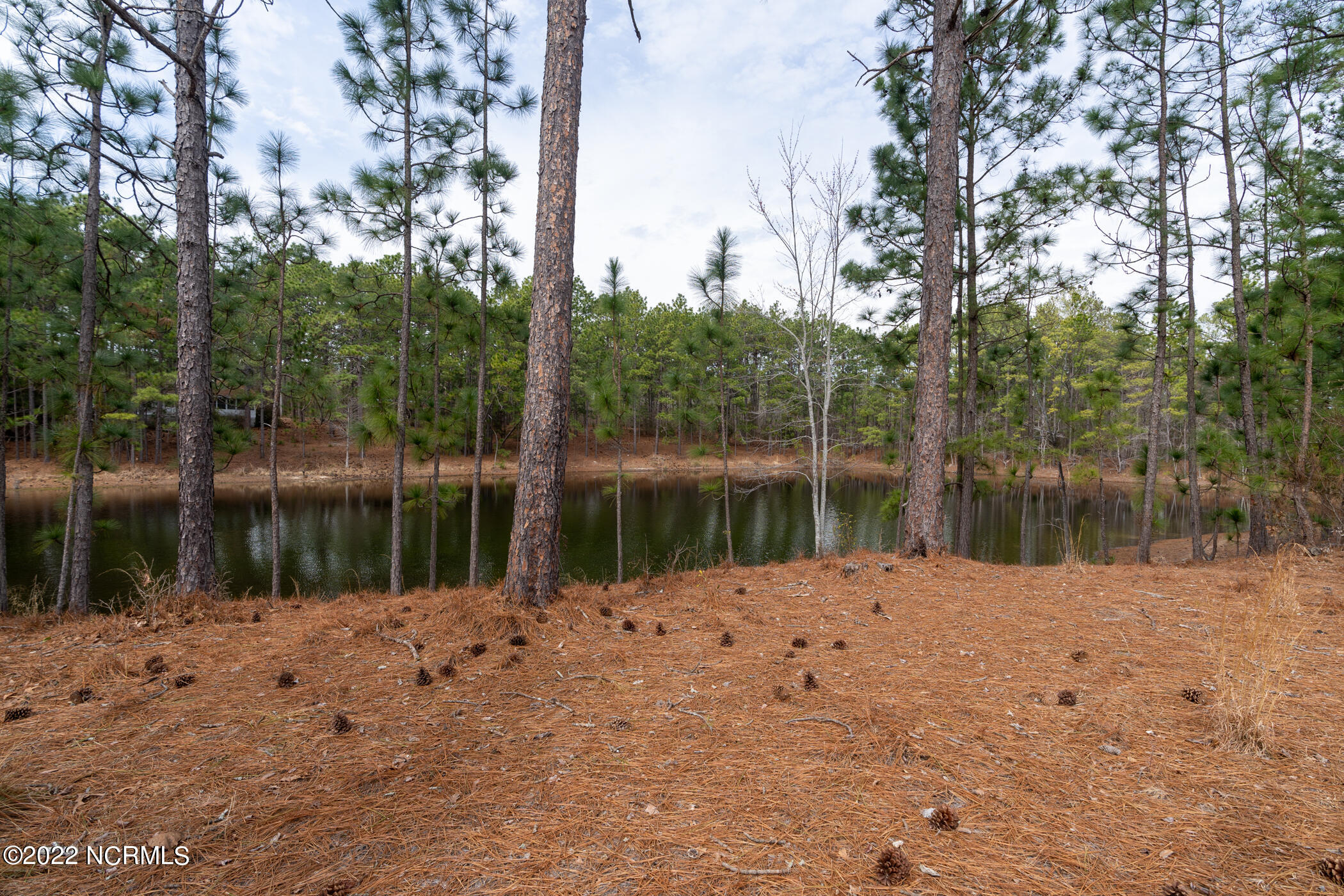 137 Glendale Drive Rockingham, NC 28379 - Photo 5 of 15 DSC09844