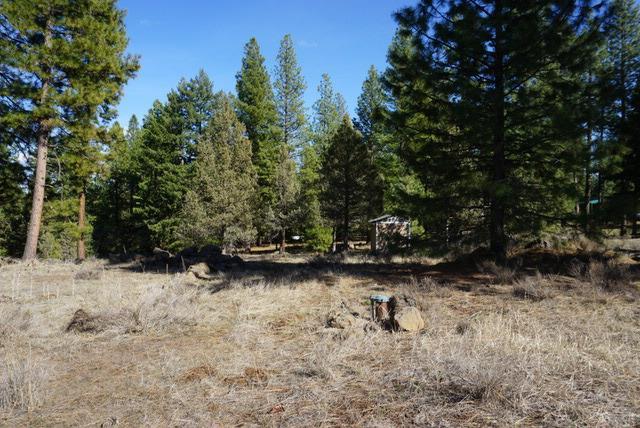 0 Misty Mountain Road Keno, OR 97627 - Photo 4 of 9 Additional Photo