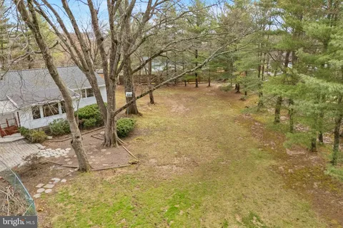 a view of a yard with a tree