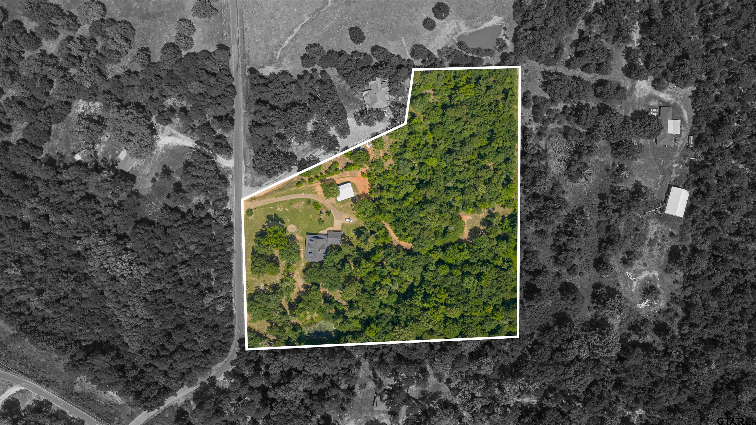 1776 Mustang Road Gilmer, TX 75645 - Photo 44 of 45 a view of a yard with plants
