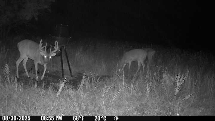 0 South Stanley Road Quenemo, KS 66528 - Photo 13 of 44