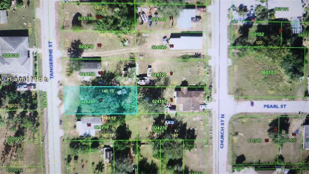 Tangerine Street Haines City, FL 33844 - Photo 2 of 2