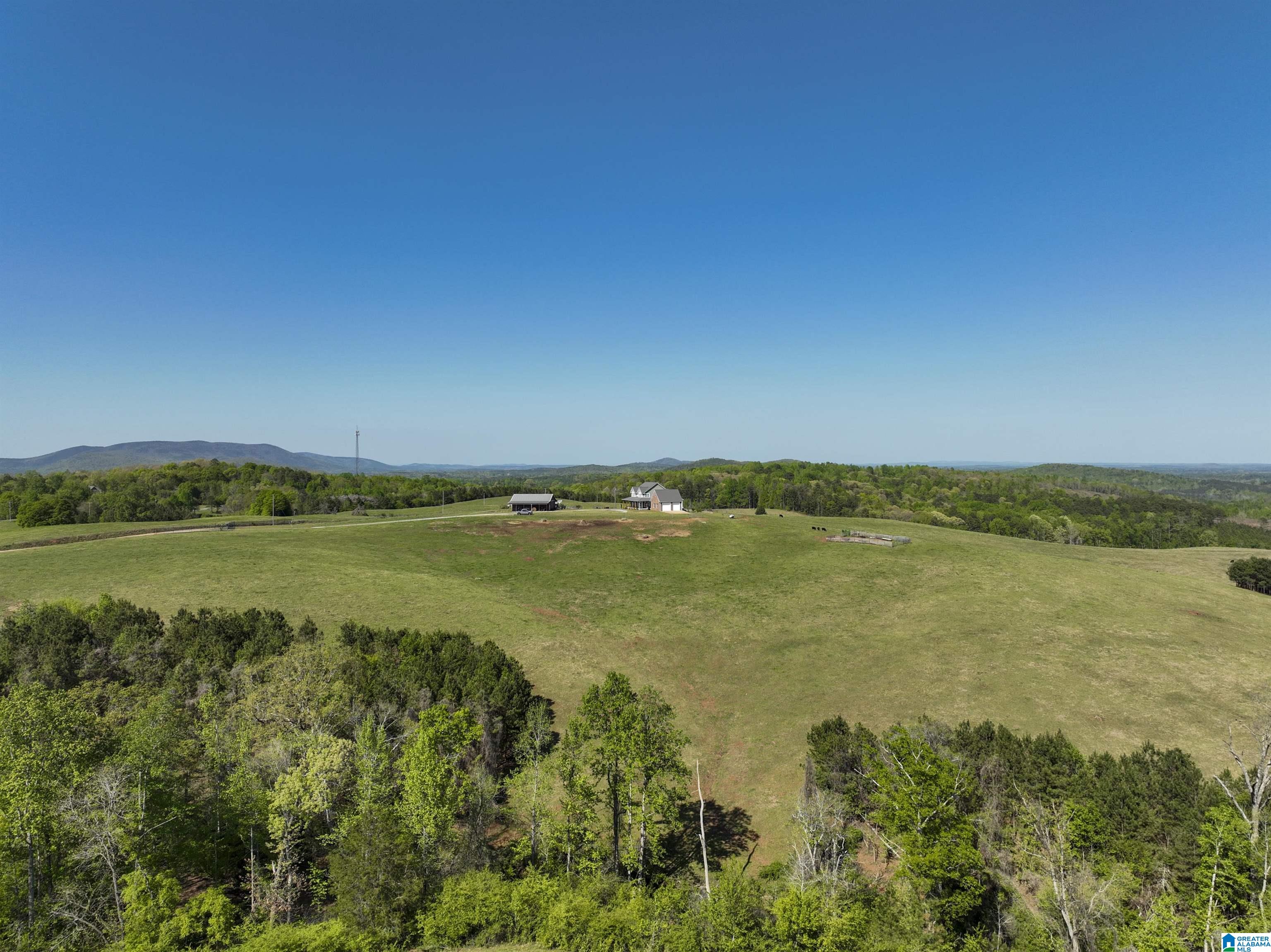 130 Kelly Road Ashland, AL 36251 - Photo 53 of 66