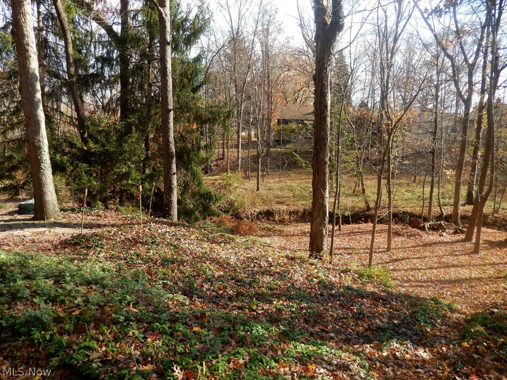7439 Midland Road Independence, OH 44131 - Photo 22 of 22 Wooded Backyard
