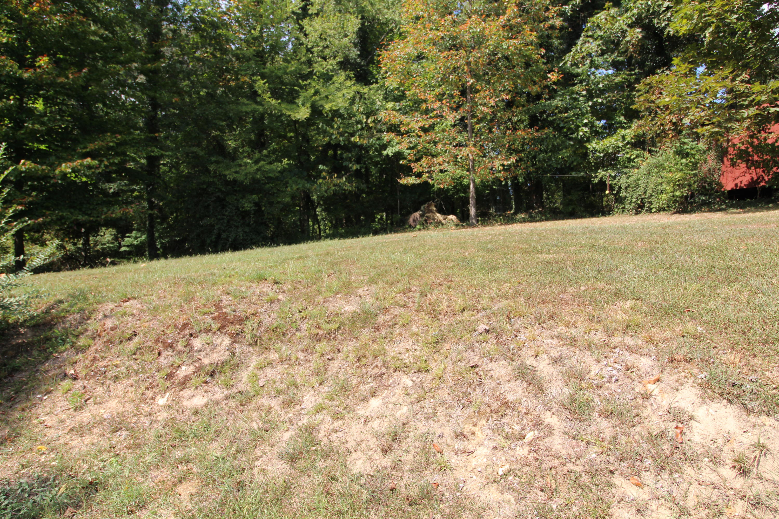 319 West Faunce Road Oak Ridge, TN 37830 - Photo 11 of 32 Side yard