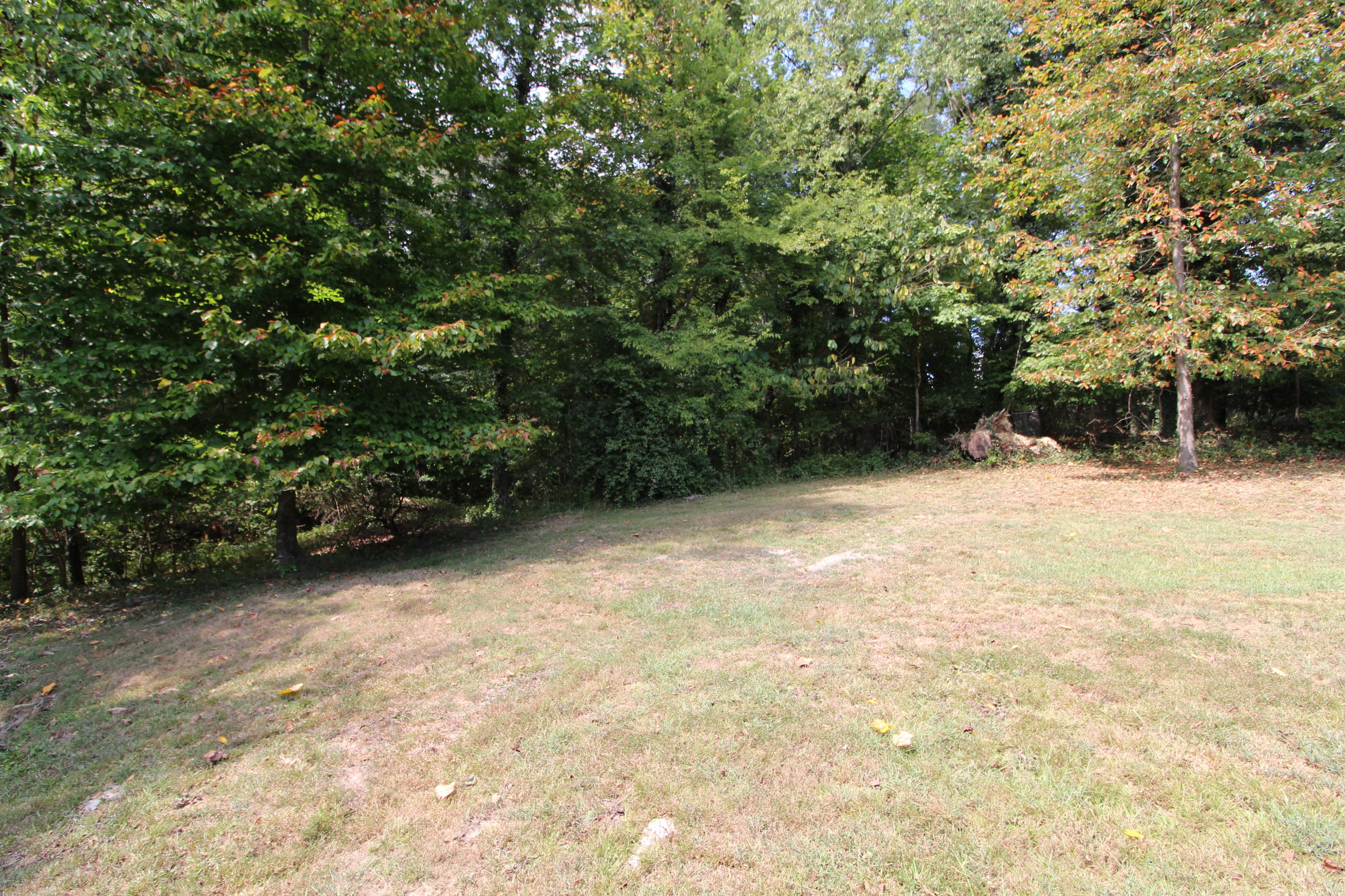 319 West Faunce Road Oak Ridge, TN 37830 - Photo 12 of 32 Yard that borders Greenbelt