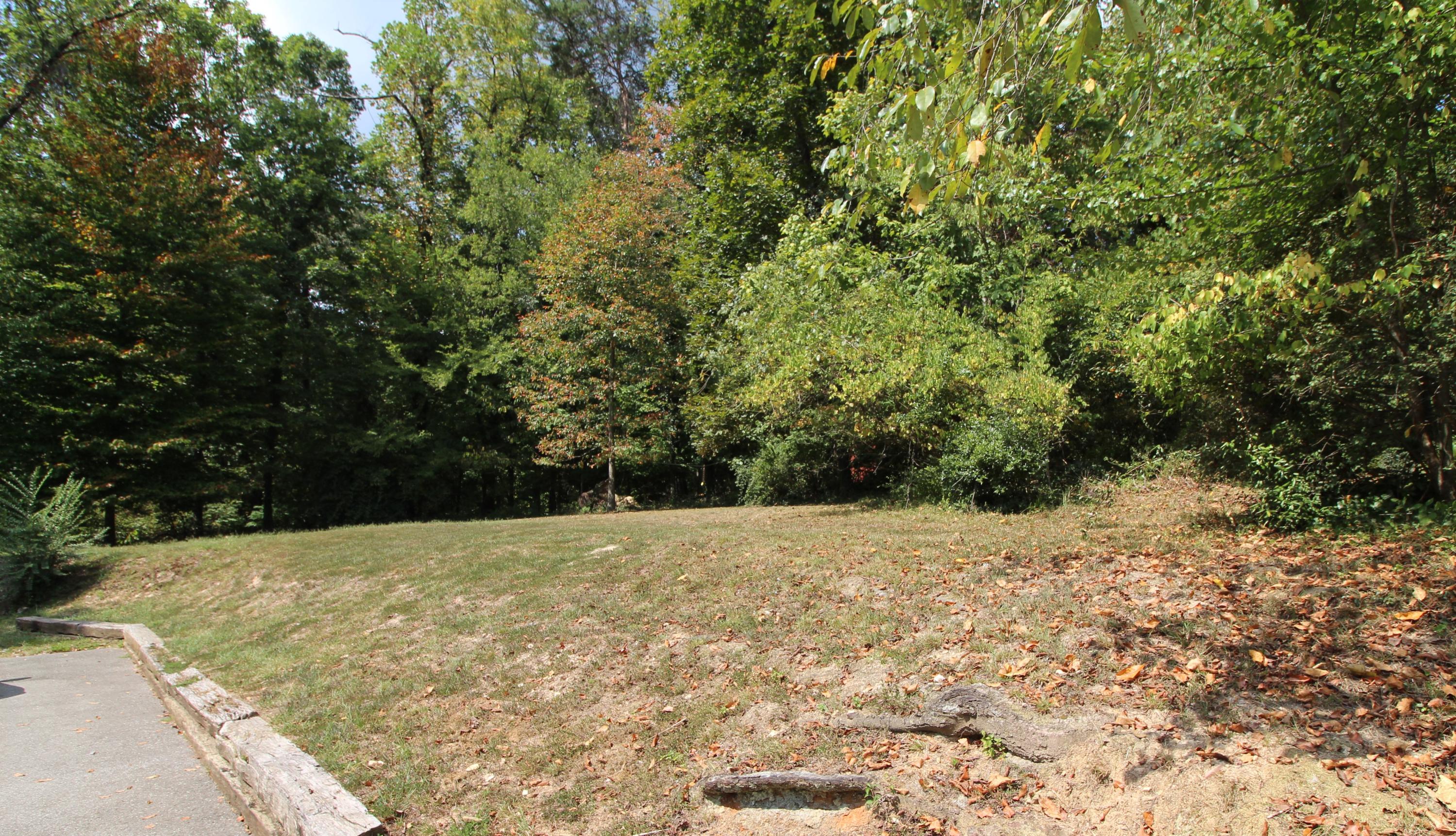 319 West Faunce Road Oak Ridge, TN 37830 - Photo 13 of 32 Yard -